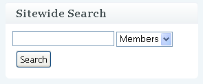 search-widget search-widget